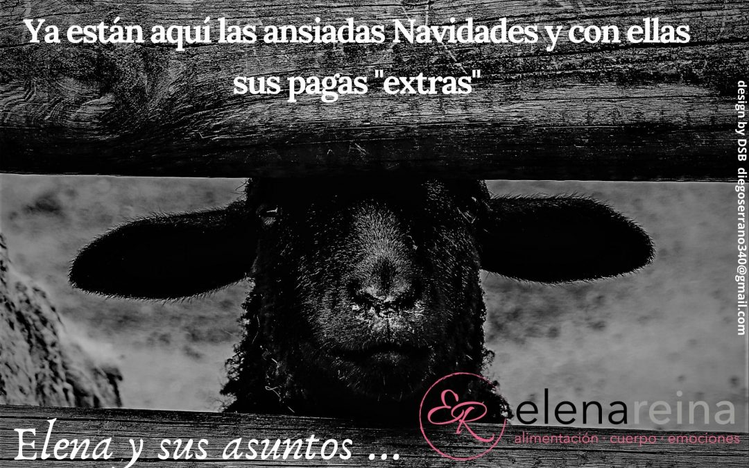 Ya están aquí las ansiadas Navidades y con ellas sus pagas “Extras”